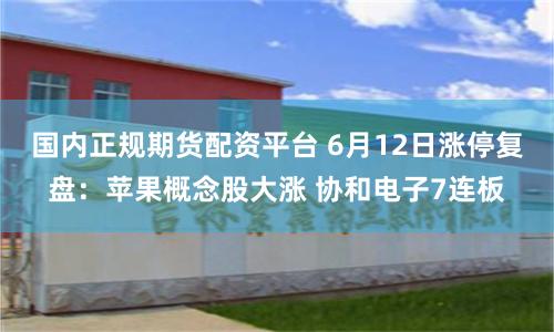 国内正规期货配资平台 6月12日涨停复盘：苹果概念股大涨 协和电子7连板