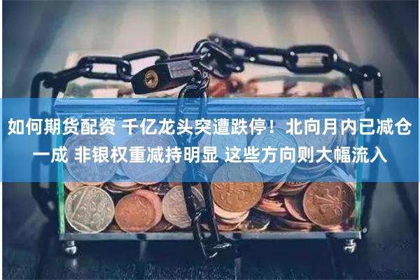如何期货配资 千亿龙头突遭跌停！北向月内已减仓一成 非银权重减持明显 这些方向则大幅流入