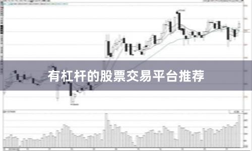 有杠杆的股票交易平台推荐