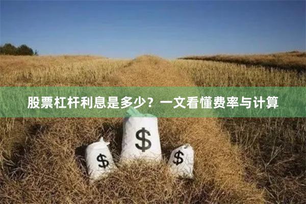 股票杠杆利息是多少？一文看懂费率与计算